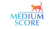 MediumScore (МедиумСкор)